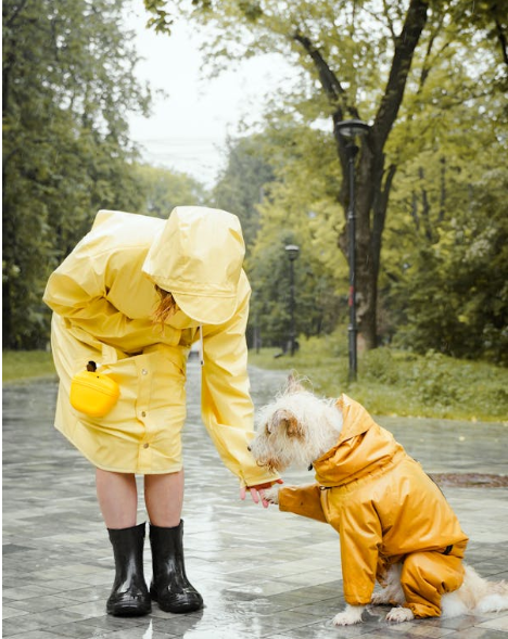 Pet Apparels