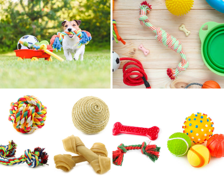 Pet-Toys ๐ข๐ฑ๐ธ๐น๐ต๐ฎ๐ฌ๐