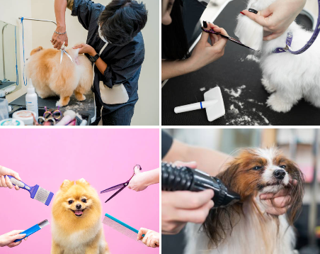 Pet-Groomings ๐ข๐ฑ๐ธ๐น๐ต๐ฎ๐ฌ๐