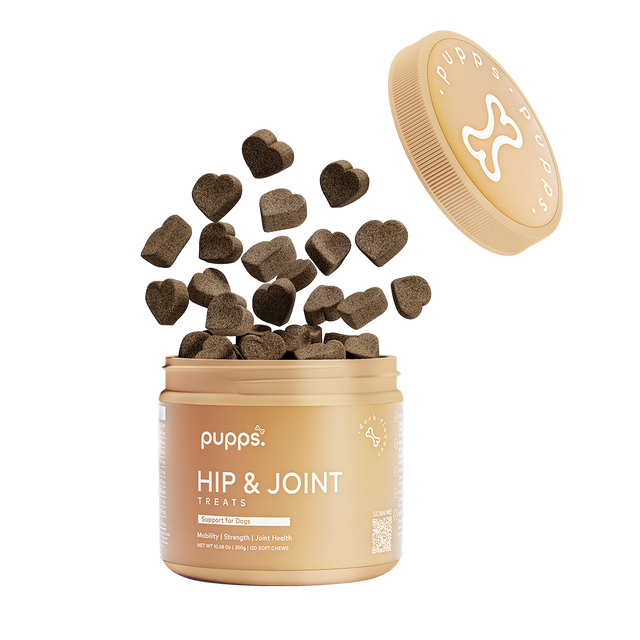 Hip & Joint Treats