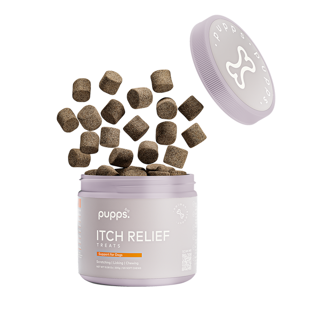 Itch Relief Treats