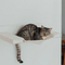 Pet  Furnitures