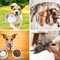 Pet Drinking & Feeding