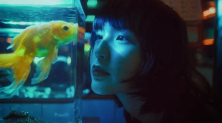 Fish-Aquatic-Pets 𝓢𝓱𝓸𝓹𝓵𝓮𝓬𝔂