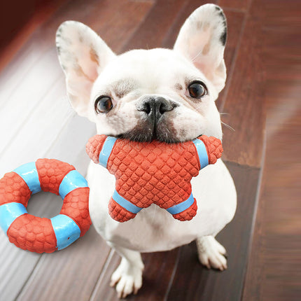 Latex interactive molar toy - 𝓢𝓱𝓸𝓹𝓵𝓮𝓬𝔂