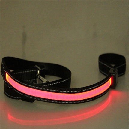Fluorescent dog collar - 𝓢𝓱𝓸𝓹𝓵𝓮𝓬𝔂