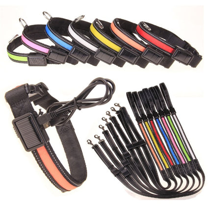 Fluorescent dog collar - 𝓢𝓱𝓸𝓹𝓵𝓮𝓬𝔂