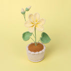 Yellow Paulownia