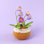 5 Gradient Purple Bell Orchids