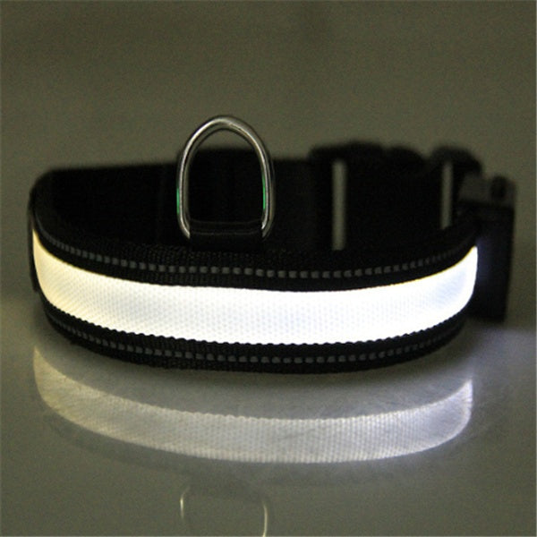 Fluorescent dog collar - 𝓢𝓱𝓸𝓹𝓵𝓮𝓬𝔂