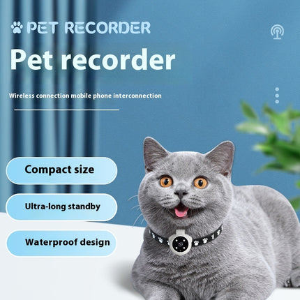 Pets Recorder Pet Tracker Collar Dogs And Cats Viewing Angle Motion Recording Camera Action Camera With Video Records Cat Collars Camera Sport Pet Products - 𝓢𝓱𝓸𝓹𝓵𝓮𝓬𝔂