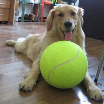 Dog Durable And Fun Rubber Molar Tennis - 𝓢𝓱𝓸𝓹𝓵𝓮𝓬𝔂