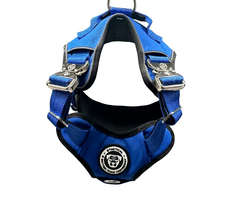 The No Pull Ultimate BTactical™ Harness | Royal Blue