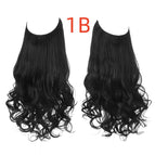 1B