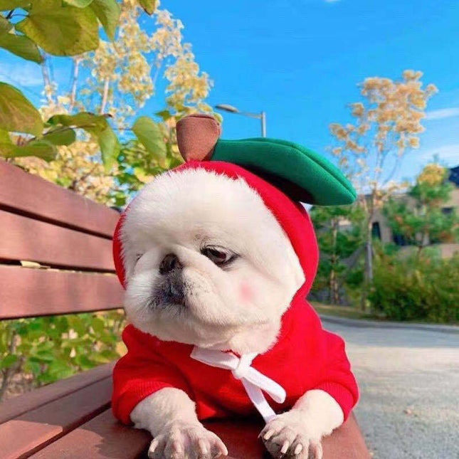 Cute Fruit Dog Clothes For Small Dogs Hoodies Winter Warm Fleece Pet Clothing Puppy Cat Costume Coat For French Chihuahua Outfit - 𝓢𝓱𝓸𝓹𝓵𝓮𝓬𝔂