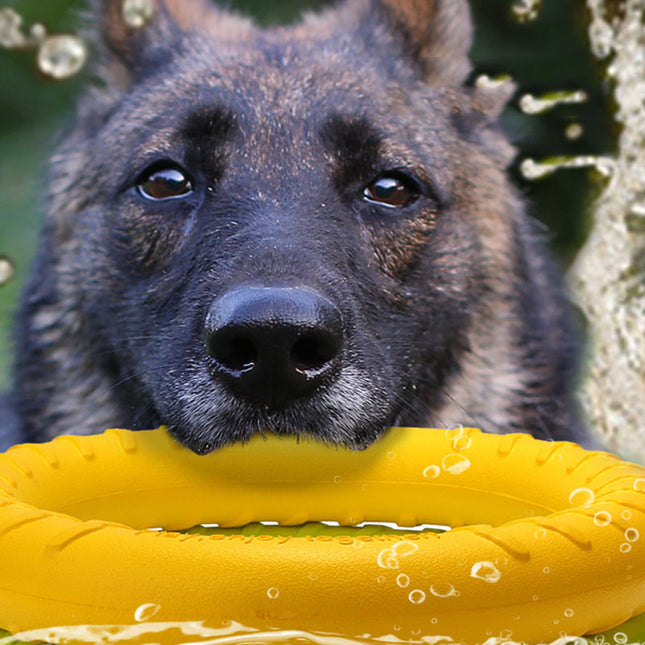 Pet Dog Training Toy Pull Ring - 𝓢𝓱𝓸𝓹𝓵𝓮𝓬𝔂
