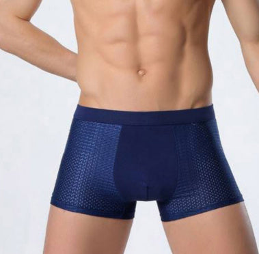 Ice silk men's underwear mesh boxer - 𝓢𝓱𝓸𝓹𝓵𝓮𝓬𝔂