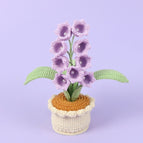 9 Purple Linglan Medium Pots
