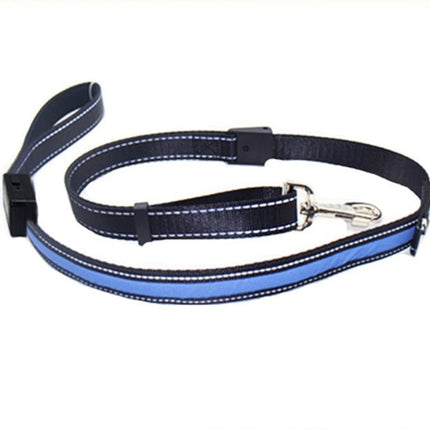Fluorescent dog collar - 𝓢𝓱𝓸𝓹𝓵𝓮𝓬𝔂