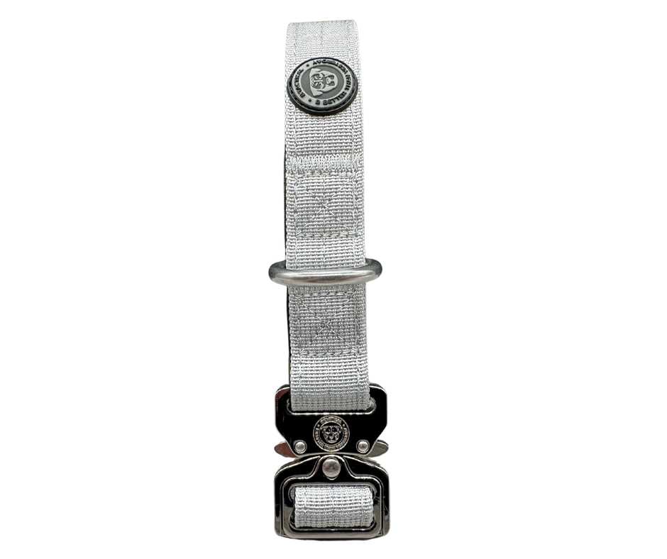 2.5cm Nylon BTactical™ Collar | Misty Grey