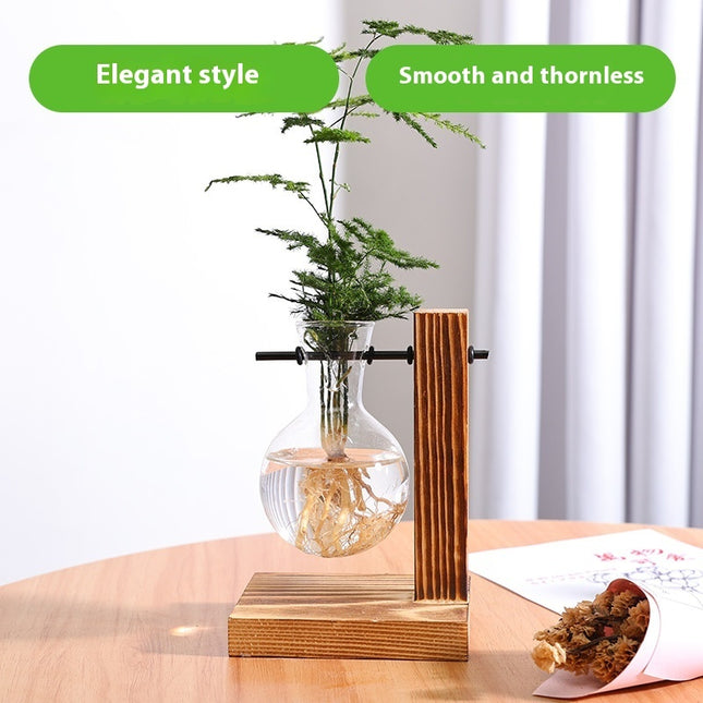 Creative Hydroponics Plant Transparent Glass Decorative Vase - 𝓢𝓱𝓸𝓹𝓵𝓮𝓬𝔂