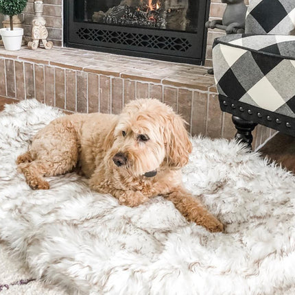 Pet dog plush mat beige mat pet dog rest - 𝓢𝓱𝓸𝓹𝓵𝓮𝓬𝔂