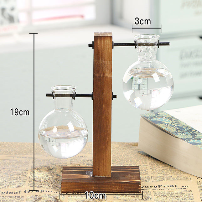 Creative Wooden Glass Bottle Plant Vase - 𝓢𝓱𝓸𝓹𝓵𝓮𝓬𝔂