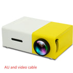 AU and video cable