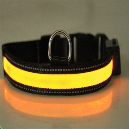 Fluorescent dog collar - 𝓢𝓱𝓸𝓹𝓵𝓮𝓬𝔂