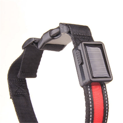 Fluorescent dog collar - 𝓢𝓱𝓸𝓹𝓵𝓮𝓬𝔂