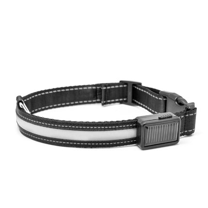 Fluorescent dog collar - 𝓢𝓱𝓸𝓹𝓵𝓮𝓬𝔂