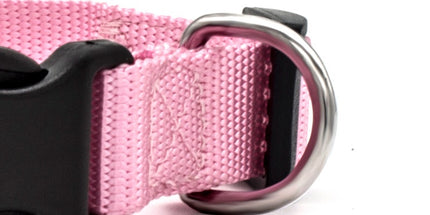 New Pet Collar - 𝓢𝓱𝓸𝓹𝓵𝓮𝓬𝔂