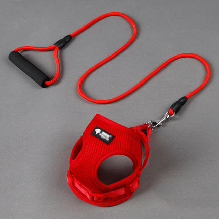 Dog leash dog leash dog collar - 𝓢𝓱𝓸𝓹𝓵𝓮𝓬𝔂