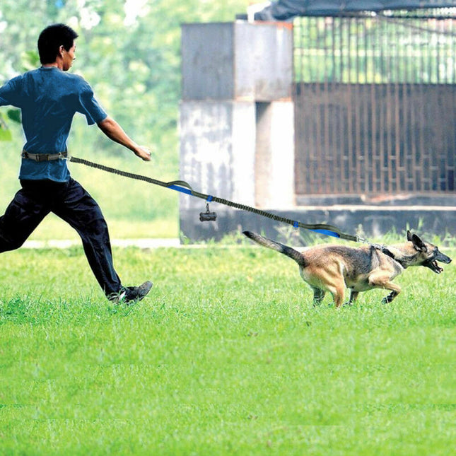 Amazon direct pet supplies multi-function running reflective pull dog leash double elastic dog leash traction - 𝓢𝓱𝓸𝓹𝓵𝓮𝓬𝔂
