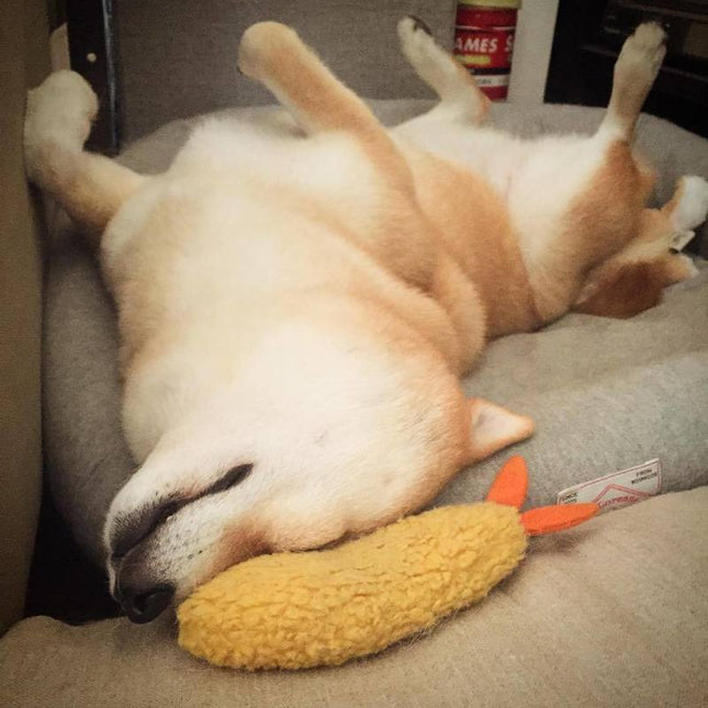 Fried Shrimp Tempura Dog Pet Chew Bite Squeaky Toy Cute Stuffed - 𝓢𝓱𝓸𝓹𝓵𝓮𝓬𝔂