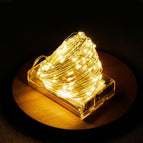 5m 50lamp warm light