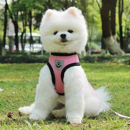Pet Car Seat Belt Pet Leash - 𝓢𝓱𝓸𝓹𝓵𝓮𝓬𝔂