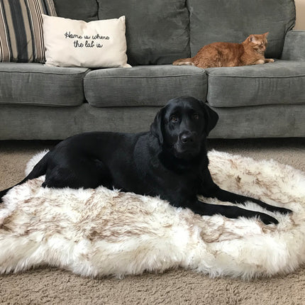 Pet dog plush mat beige mat pet dog rest - 𝓢𝓱𝓸𝓹𝓵𝓮𝓬𝔂
