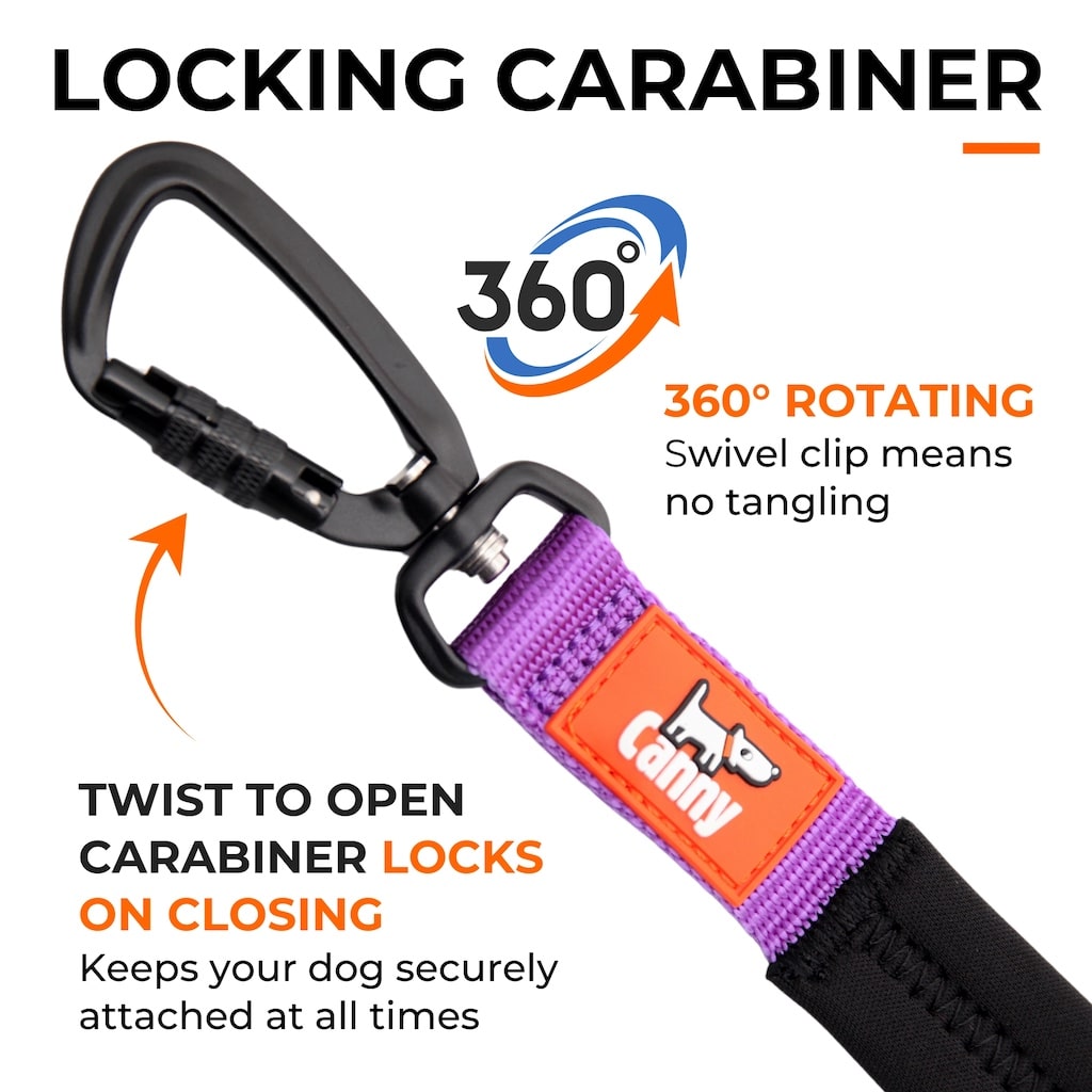 Canny CONNECT Anti-Escape Lead
