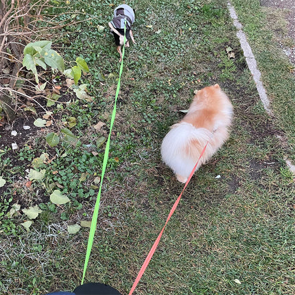 Retractable Dog Leash For Small Dogs Reflective Dual Pet Leash Lead 360 Swivel No Double Dog Walking Leash With Lights Pet Products - 𝓢𝓱𝓸𝓹𝓵𝓮𝓬𝔂