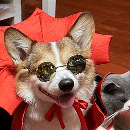 Halloween Pet Costumepet Halloween Cape Vampire King - 𝓢𝓱𝓸𝓹𝓵𝓮𝓬𝔂