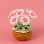 6 Pink Little Daisy