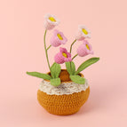 5 Pink Lily