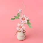 Pink Clematis Potted Plants