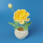 Yellow Peony Wool Potted Plant
