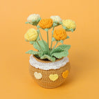 6 Gradient Orange Roses
