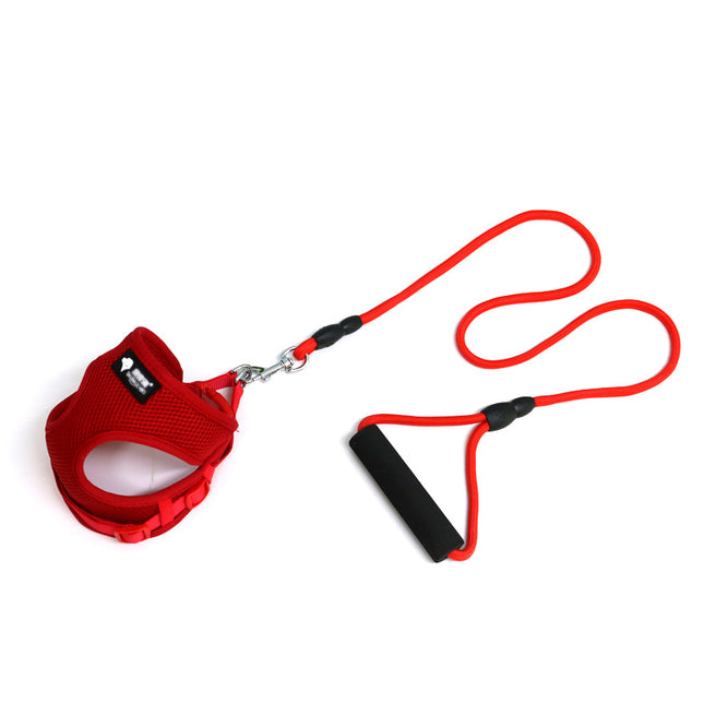 Dog leash dog leash dog collar - 𝓢𝓱𝓸𝓹𝓵𝓮𝓬𝔂