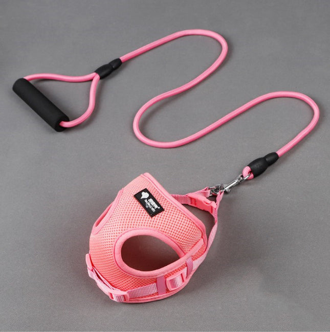 Dog leash dog leash dog collar - 𝓢𝓱𝓸𝓹𝓵𝓮𝓬𝔂