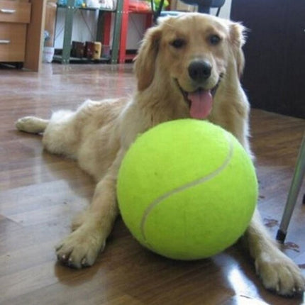Dog Durable And Fun Rubber Molar Tennis - 𝓢𝓱𝓸𝓹𝓵𝓮𝓬𝔂