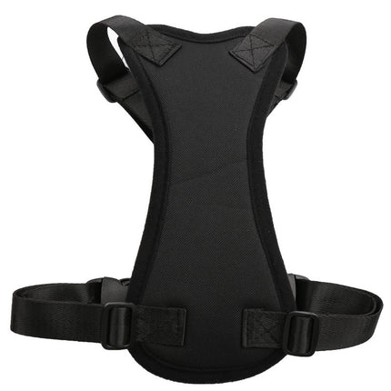 Car seat belts for pets - 𝓢𝓱𝓸𝓹𝓵𝓮𝓬𝔂